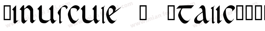 Minuscule 6 Italic字体转换